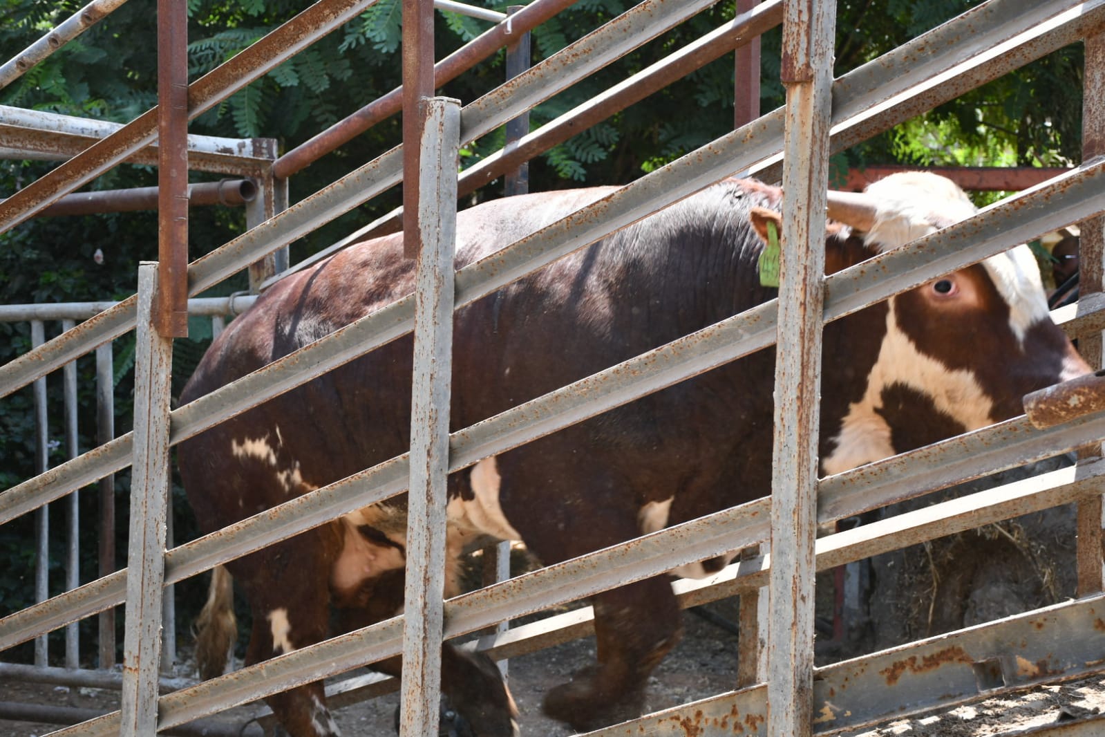 WhatsApp Image 2021-07-19 at 1.01.27 PM (1).jpeg